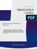 INDUCCION A LA NCL.pptx