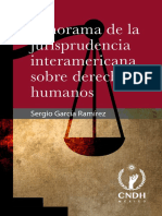 PROGRAMA DE JURISPRUDENCIA INTER-AMERICANA SOBRE DERECHOS HUMANOS