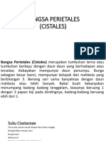 Bangsa Perietales (Cistales)