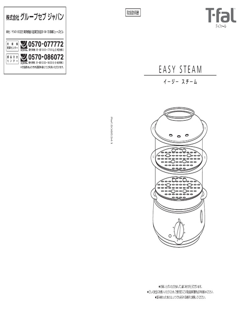 Easy Steam PDF | PDF