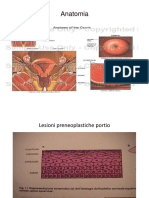 Cervixul si HPV.pdf