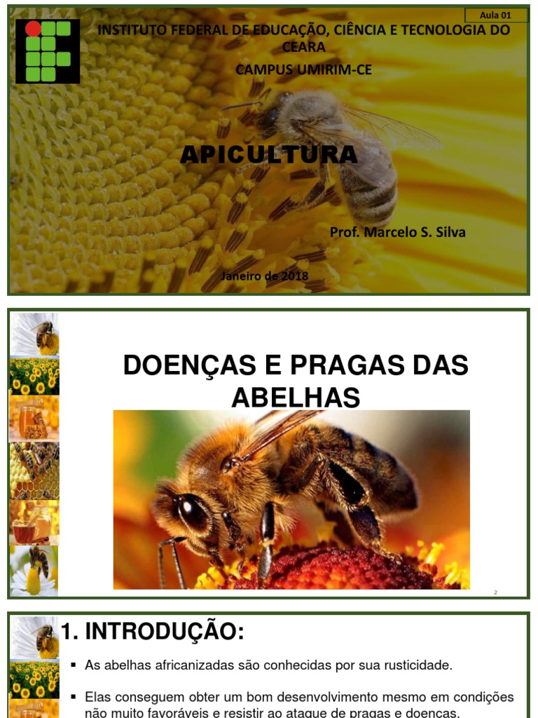 Quais são os principais inimigos das abelhas?