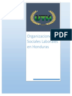 Informe Organizaciones Sociales