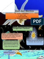 Plankton Dan Blentos Fix