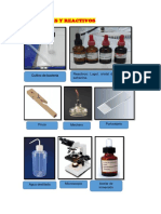 Practica 1 Microbiologia