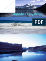 Aquatic Ecosystem