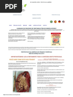 Protocolo de Limpeza do Fígado Professor  Walter Lopes