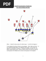 Bunch Passing Single Wing