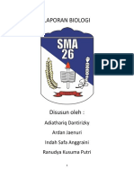 Laporan Biologi Tanaman Paku