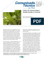 Curcuma Cultivo Embrapa PDF
