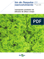 Comportamento Agronômico de Cultivares de Alface Americana em Sistema Hidropônico