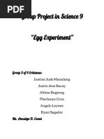 Eggsperiment