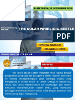 PPT the Solar Whiligig Beetle