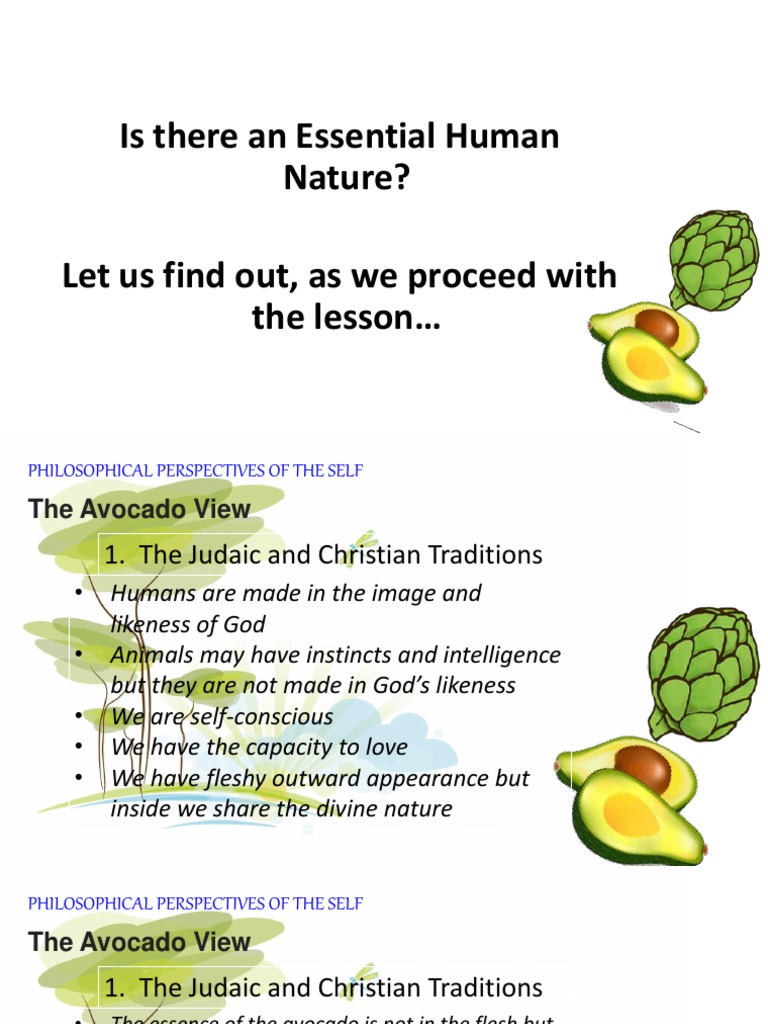 Philosophical Views on Human Nature | PDF | Soul | Rationalism