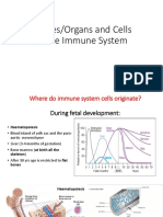 Tissues - Organs and Cells