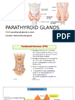 Parathyroid Glands