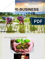 Agri Business Yshie