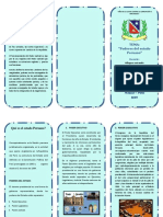 TRIPTICO Uso Inadecuado Del Pirotecnico