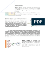 Levels of Structure in Nucleic Acids