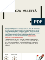 Scleroza Multipla - Scurta Prezentare