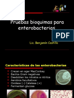 Pruebasbioquimicascurso 150704054925 Lva1 App6892