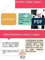 Macroambiente Fetal