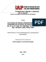 FACTORES DE RIESGO PREDISPONENTES AL CONSUMO DE ALCOHOL EN ADOLESCENTES DE LA I.E. N° 7220 "EL PARAÍSO" VILLA MARÍA DEL TRIUNFO, LIMA, PERÚ, 2009