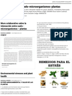 Padlet Colaborativo Final