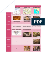 Cuadro Comparativo Artes