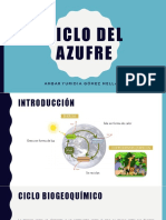 Ciclo Del Azufre