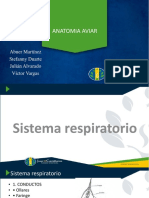 Sistema Respiratorio