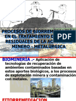 Biorremediacion Minera PDF