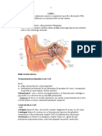 CURS_1 (1).doc