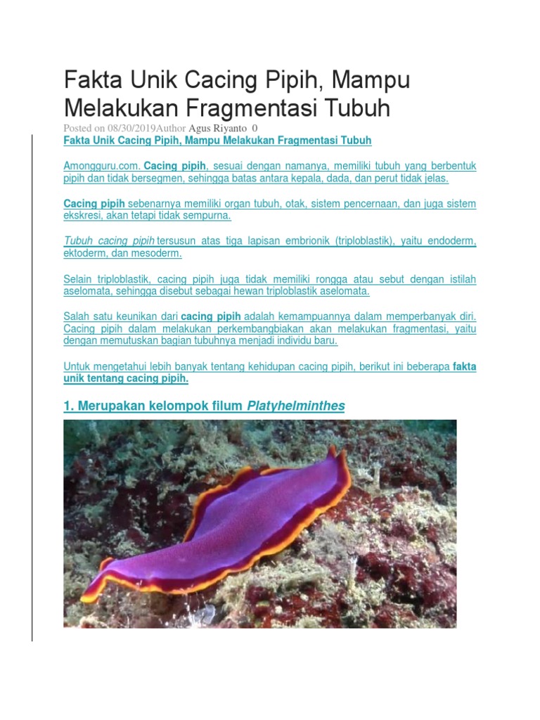Fakta Unik Cacing Pipih dan Fragmentasi | PDF