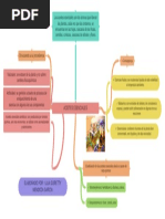 Mapa Conceptual Aceites Esenciales