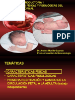 CONFERENCIA-INTRODUCTORIA-RECIEN-NACIDO-NORMAL-.pdf