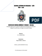 Principios Procesales Nicaragua