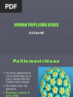 Download Human Paiplloma Virus by tummalapalli venkateswara rao SN4377923 doc pdf