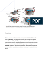 tugas perkelompok anatomi block 4.docx