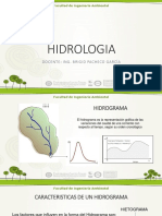 Hidrograma: Características y componentes