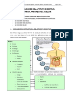 Tema I. Generalidades Del Aparato Digestivo