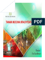 5. Tanam LCC [Compatibility Mode] - Copy.pdf