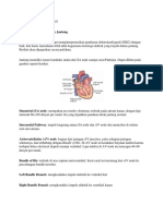 Cara Mudah Interpretasi EKG