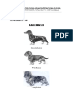 FCI Standard for the Dachshund Breed