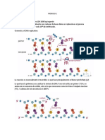 Molecular Biology MIT - Part I