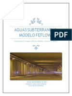 Aguas Subterraneas - Modelo Feflow