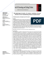 Aseel Hyderabad PDF