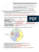 Cell Cycle Review Key