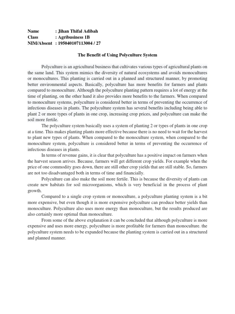 Argumentative essay sample pdf middle school image