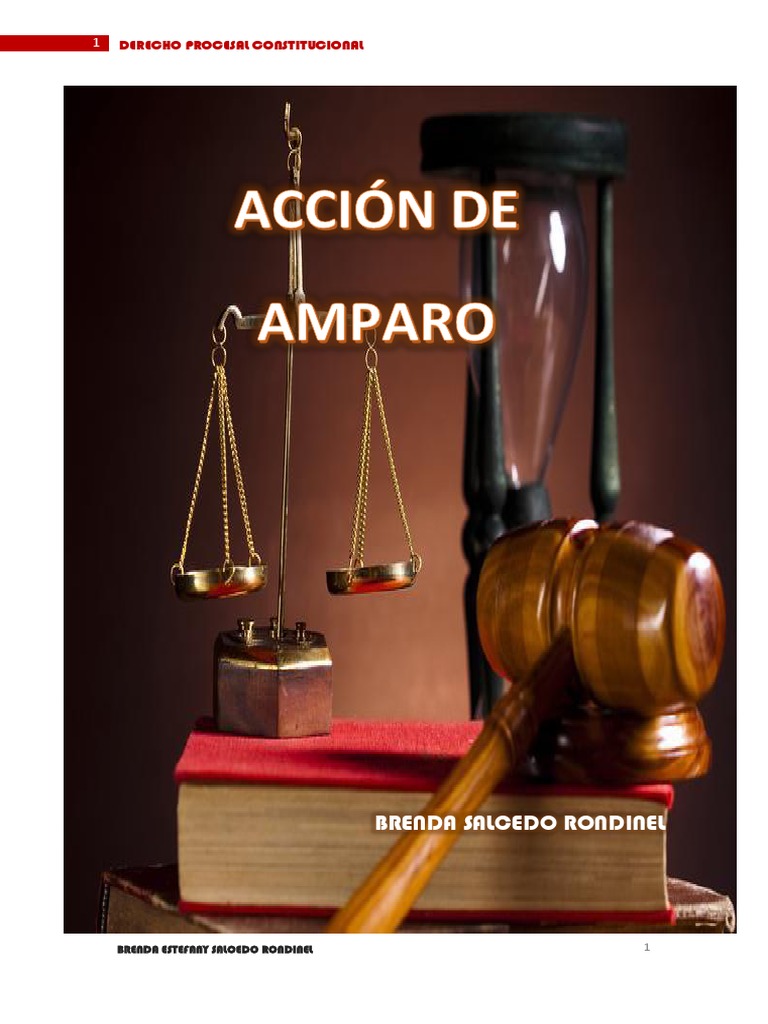 Trabajo Accion de Amparo | PDF | Habeas corpus | Constitución